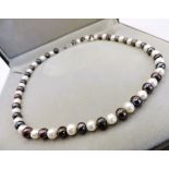 Cultured Pearl Necklace Silver Clasp New With Gift Box