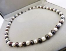 Cultured Pearl Necklace Silver Clasp New With Gift Box