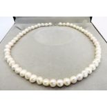 Cultured Pearl Necklace Silver Clasp New With Gift Box