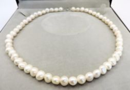 Cultured Pearl Necklace Silver Clasp New With Gift Box