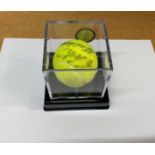 Stefan Edberg Signed Tennis Ball