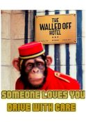The Walled Off Hotel- Banksy Monkey- Someone Loves You