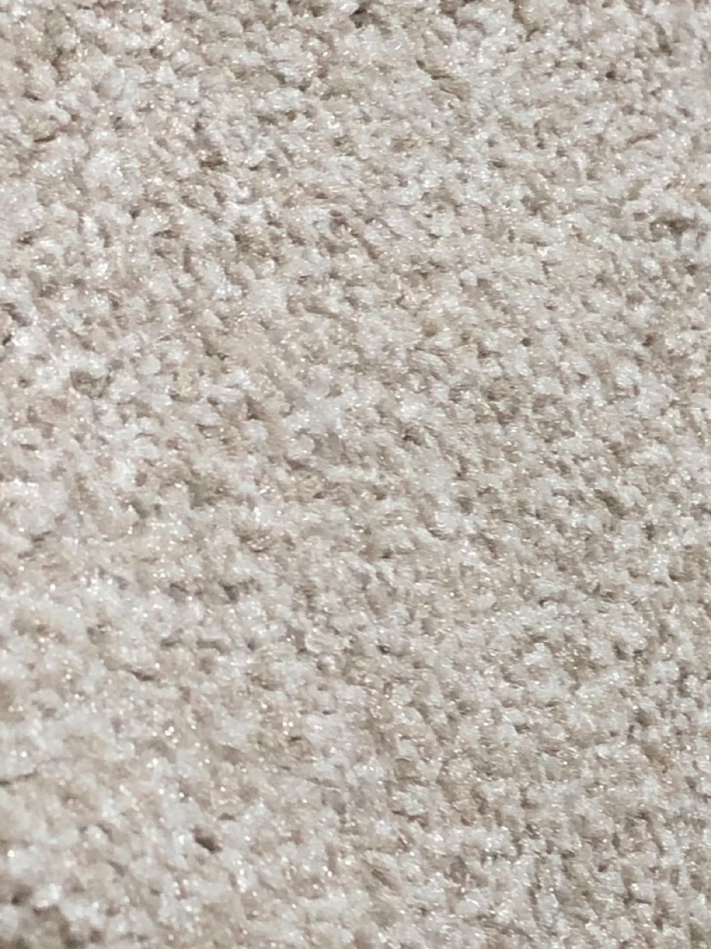 Balta Carpet, Noble Saxony, Colour Code 675, L14.00 X W5.00 - Image 2 of 3