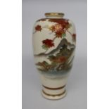 Oriental Porcelain Vase