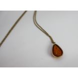 Amber Pendant on Gold Chain