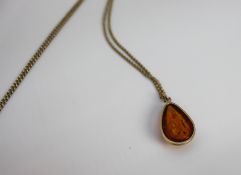 Amber Pendant on Gold Chain