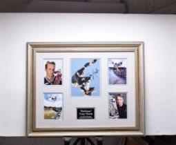 Tony Hawk Framed Original Signature Presentation