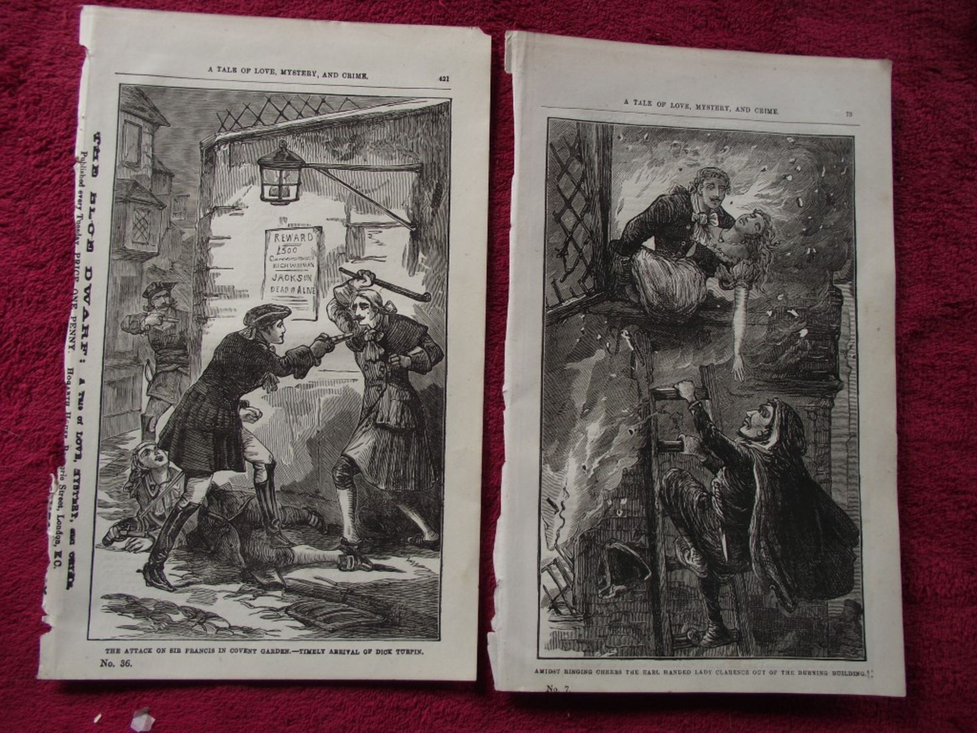 16 x Lithographic Prints From The Blue Dwarf - Percy B. St John - + 14 Prints - Circa 1880's - Image 29 of 39