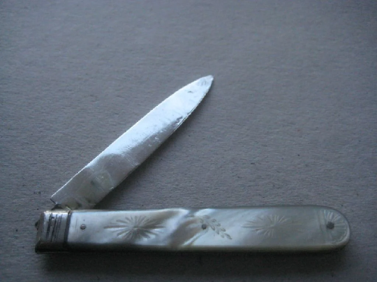 William IV Beehive Decorated Mother of Pearl Hafted Silver Bladed Folding Fruit Knife - Image 2 of 10
