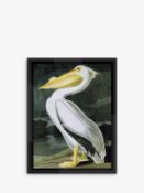 Pelican Audubon Framed Print, 86 x 66cm White 4/10 75