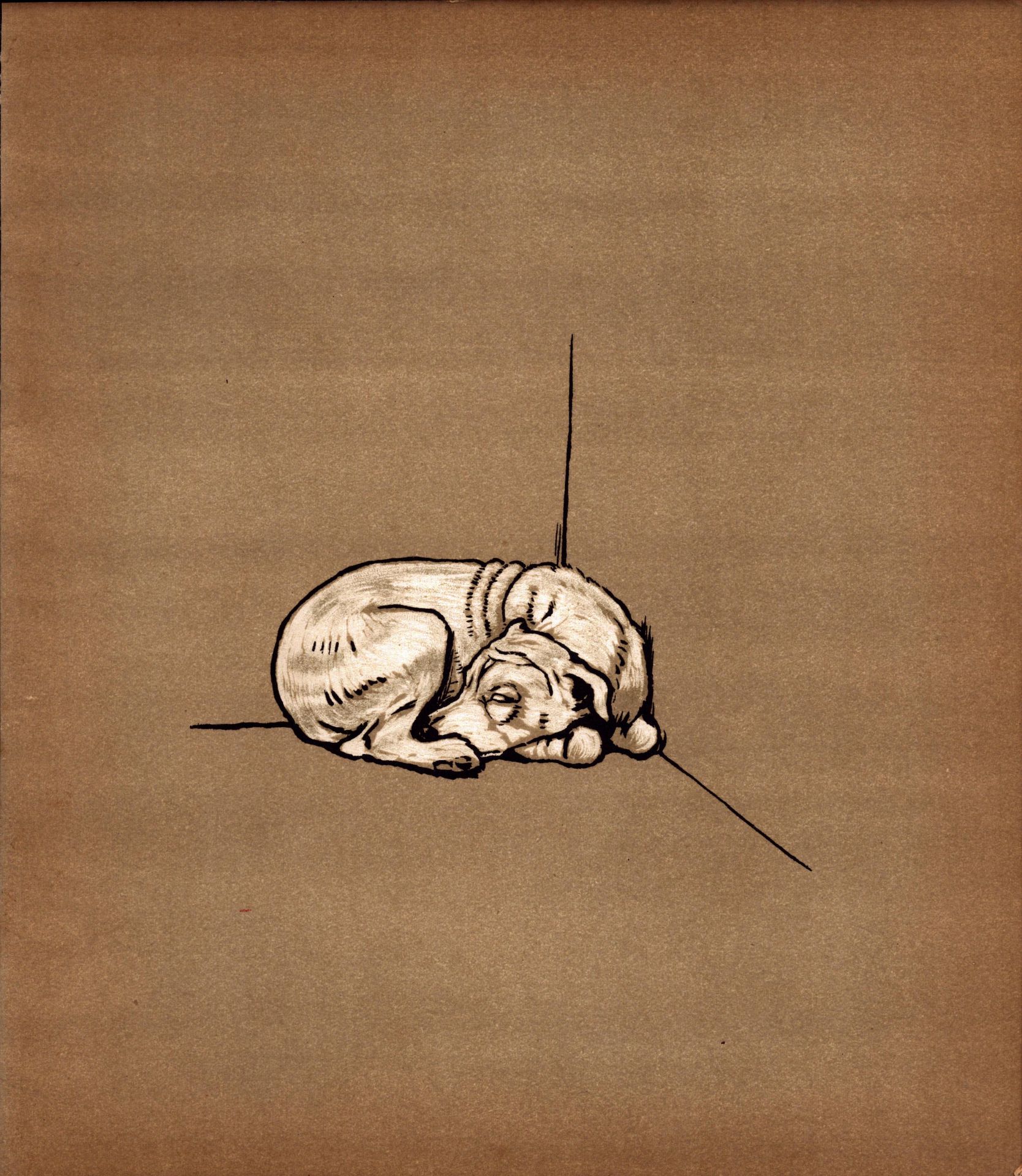Cecil Aldin 1909 Rough Haired Terrier “Pickles” Dog Illustration-24.