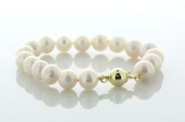 Freshwater Cultured 8.5 - 9.0mm Pearl Bracelet With Gold Plated Silver Clasp