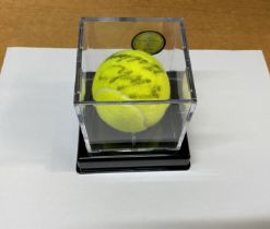 Stefan Edberg Signed Tennis Ball