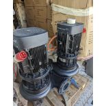 1 x Grundfos Twin 5.5kw Motors Circulation Pump