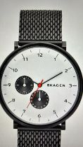 Skagen SKW6188 Hald Steel Mesh Watch