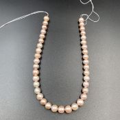 PB-507, Awesome Fresh Water Pearl Beads Strand