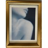 Photography Art By Allan Jenkins (Valeria’s Lips) With Gold Frame