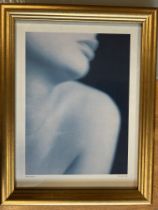 Photography Art By Allan Jenkins (Valeria’s Lips) With Gold Frame