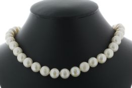 26 inch Freshwater Cultured 8.5 - 9.0mm Pearl Necklace With Gold Pated Silver Clasp