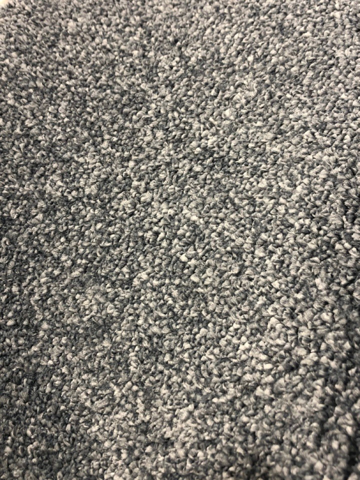 Balta Snowdonia AB 3100/0350 Carpet, Colour Code 350 Approx. Size 14.5M X 5M - Image 2 of 2