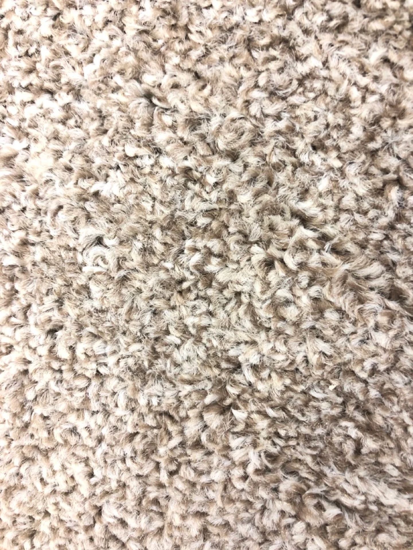 Balta Moorland Twist Carpet In Cotton Field Approx. Size 5M x 4.4M - Image 2 of 2