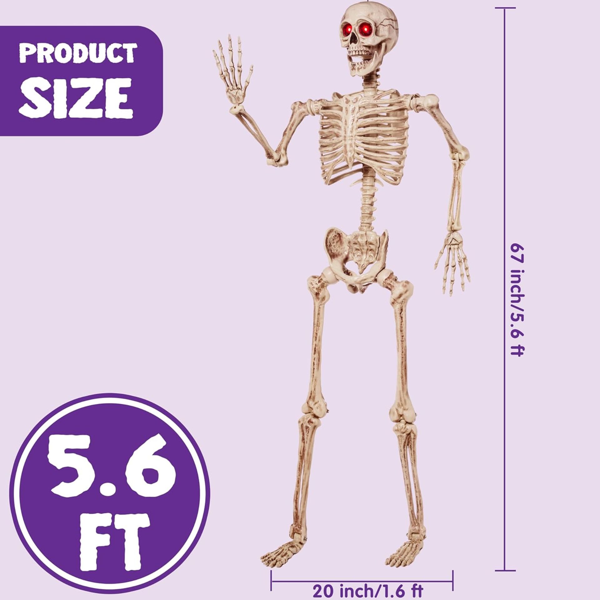 60 Inches Halloween LED Life-Size Skeleton Full Body Human Bones With Red Light Eyes Lot#28 - Image 2 of 2