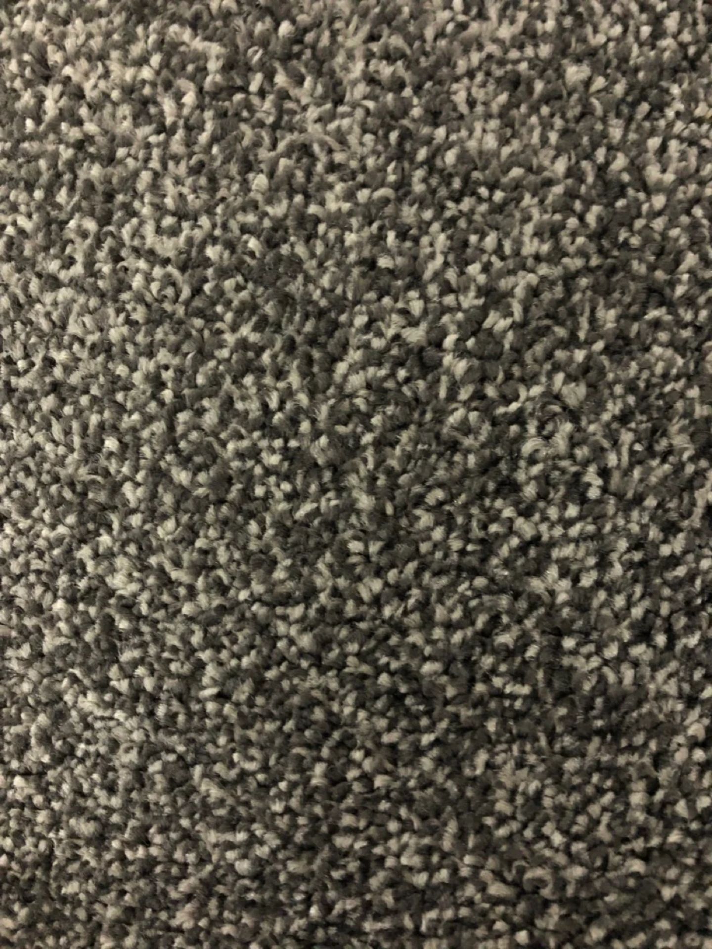 Balta Carpet, 13906 B.Noble Sax 5BF. Colour Code 10, L8.70 x W5.00 - Image 2 of 3