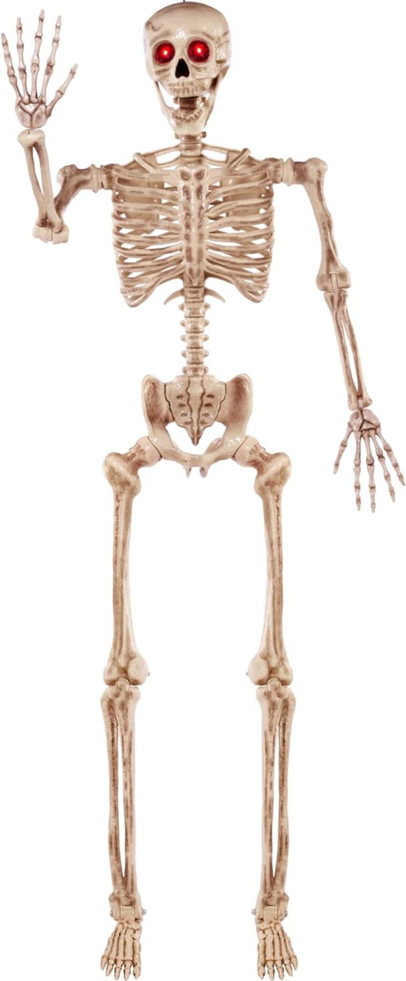 60 Inches Halloween LED Life-Size Skeleton Full Body Human Bones With Red Light Eyes Lot#28