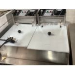 Brand New Double Electric Fryer