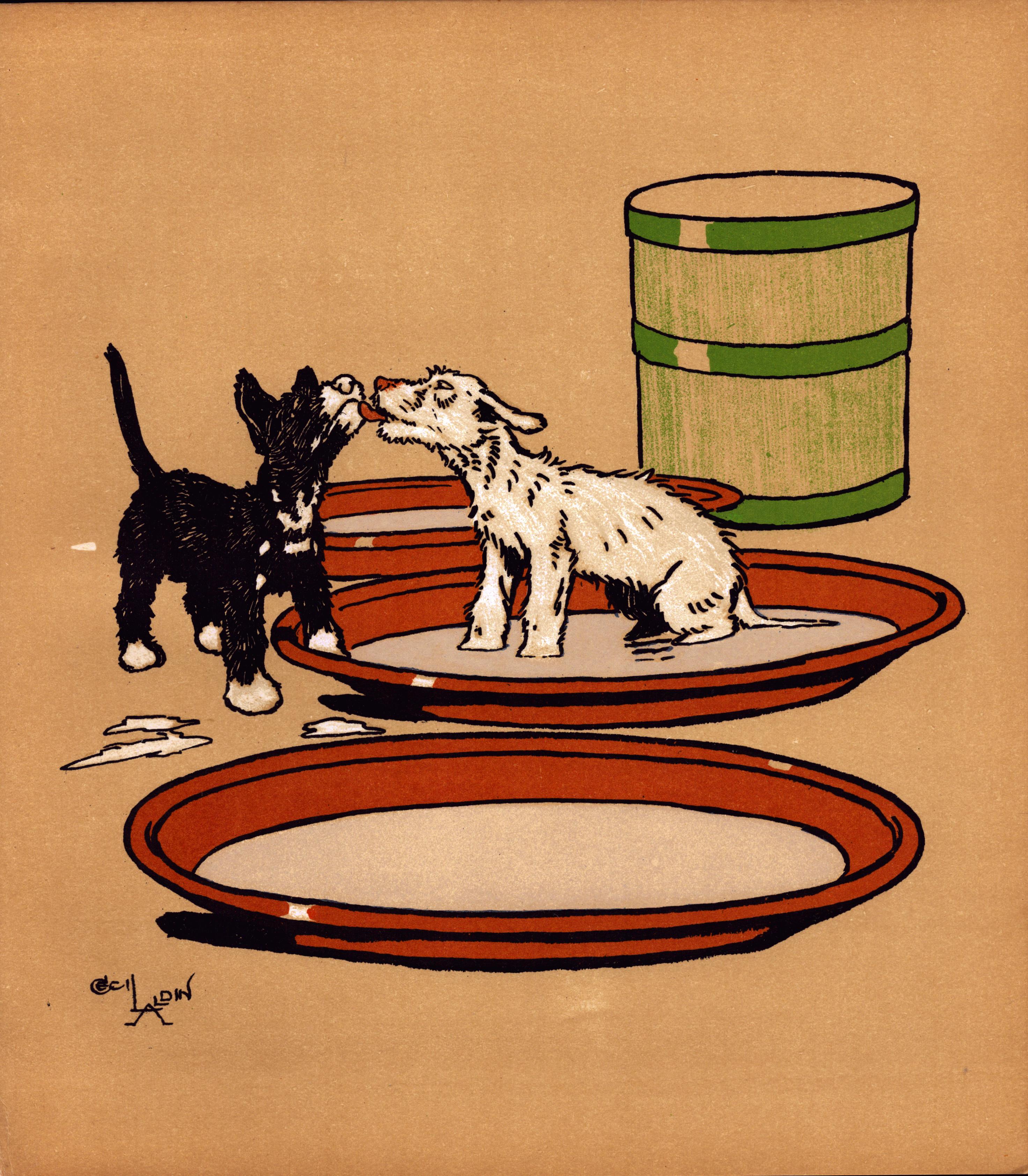 Cecil Aldin “Rough & Tumble” Scotch Terriers Antique Colour Illustration-14.