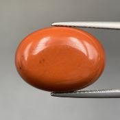 12 Cts Natural Red Jasper Cabochon