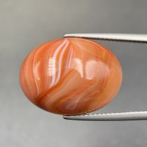 18.25 Cts Natural Carnelian Agate Cabochon