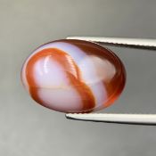 13.75 Cts Brilliant Natural Carnelian Agate Cabochon