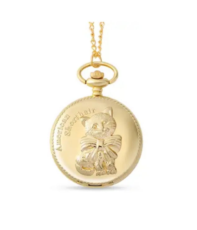 New! STRADA Japan Movement American Shorthair Pattern Gold Plated Pocket Watch - Image 2 of 5