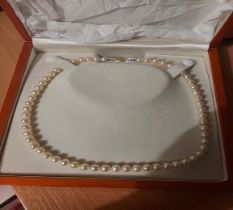 Pearl Necklace