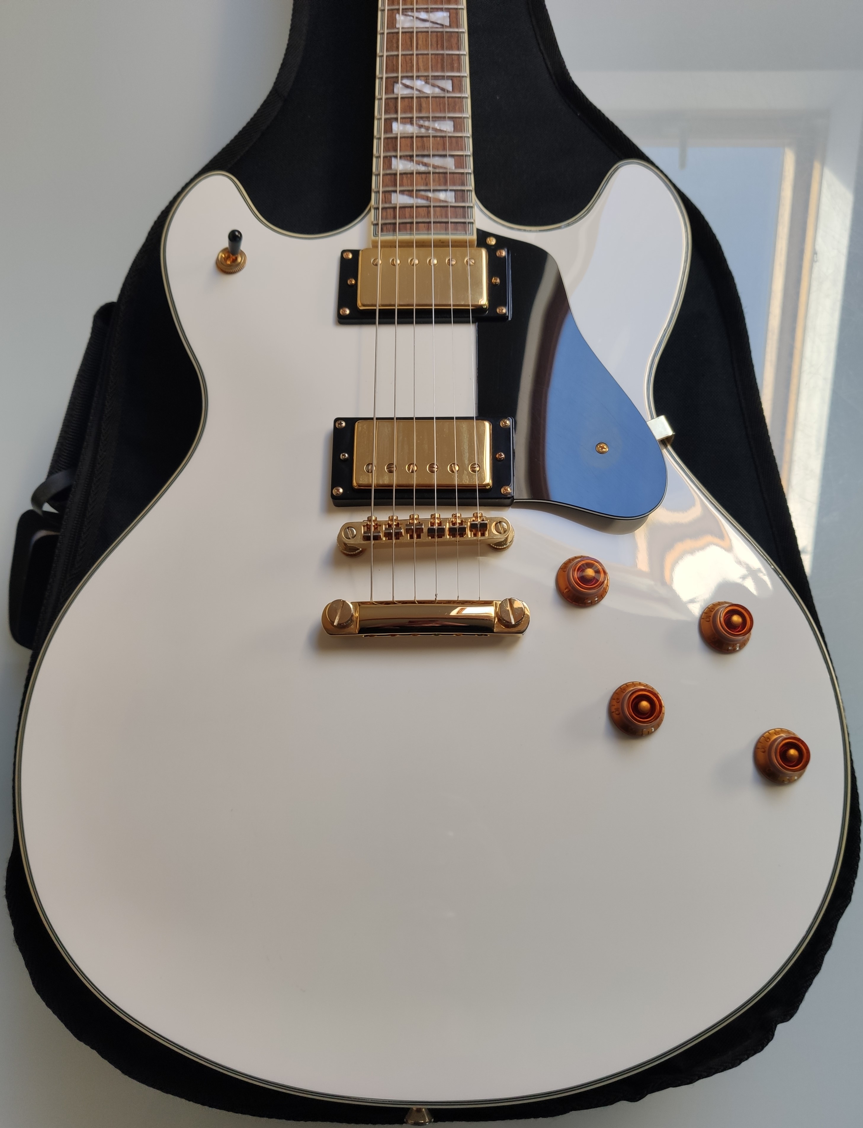 A Stunning Washburn HB45 Semi Hollow Body Electric Guitar. Excellent Condition. With Case. - Image 2 of 19