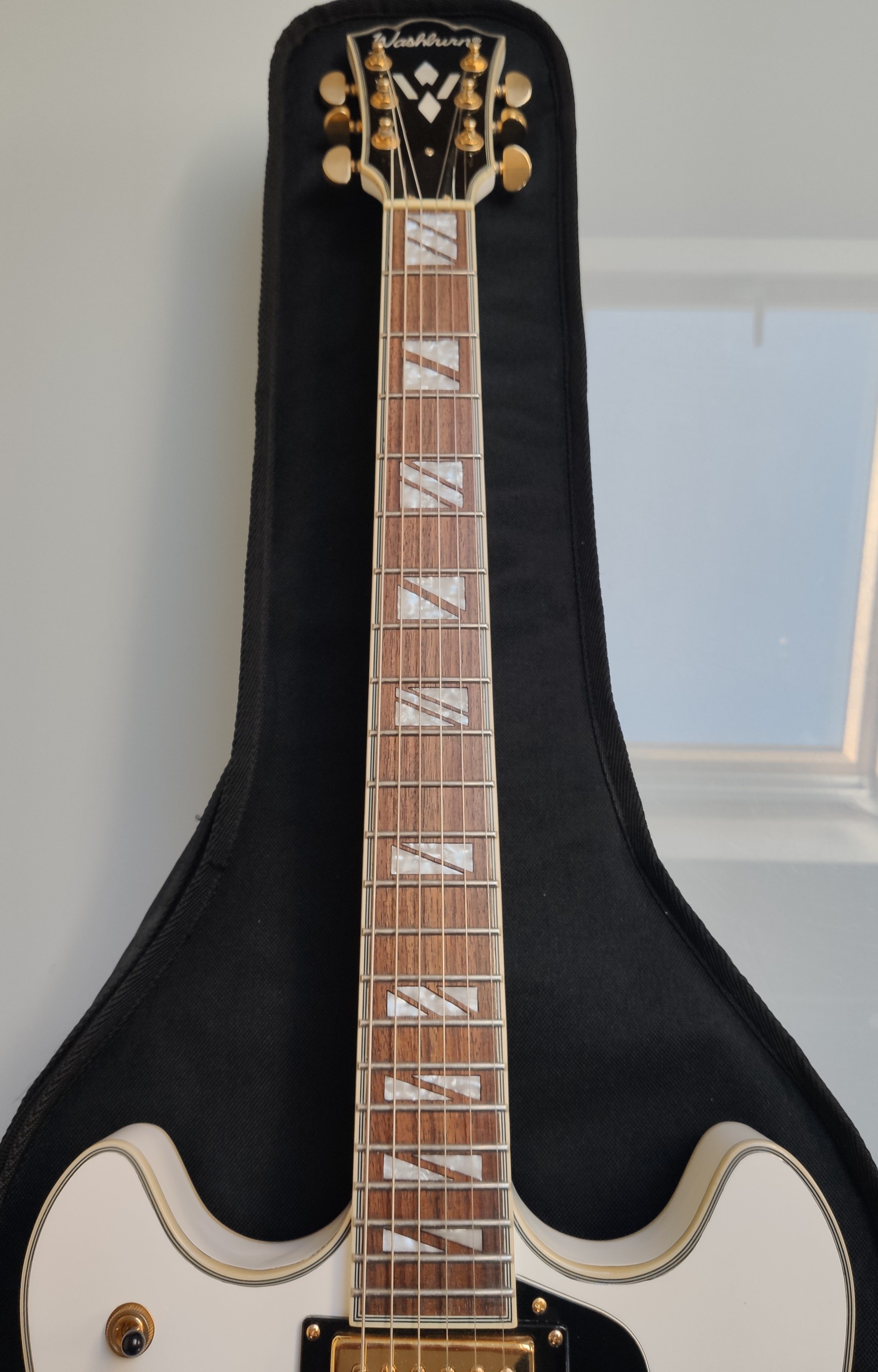 A Stunning Washburn HB45 Semi Hollow Body Electric Guitar. Excellent Condition. With Case. - Image 3 of 19