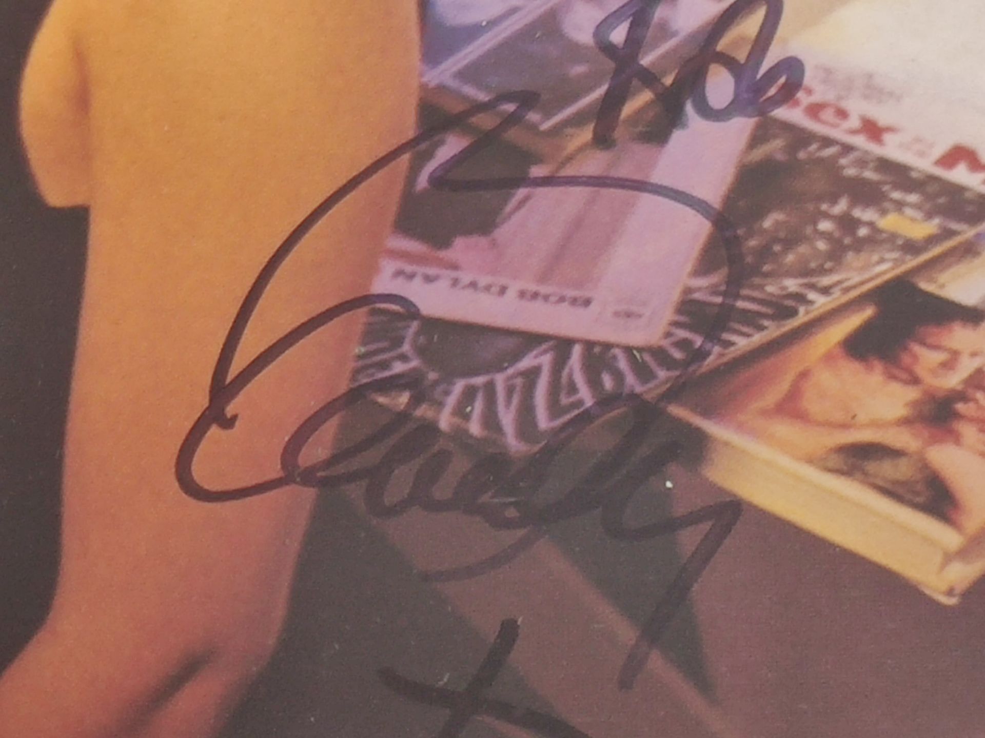 Autographed Transvision Vamp – Velveteen Vinyl LP – UK 1989 First Pressing A1 / B1 - Image 5 of 8
