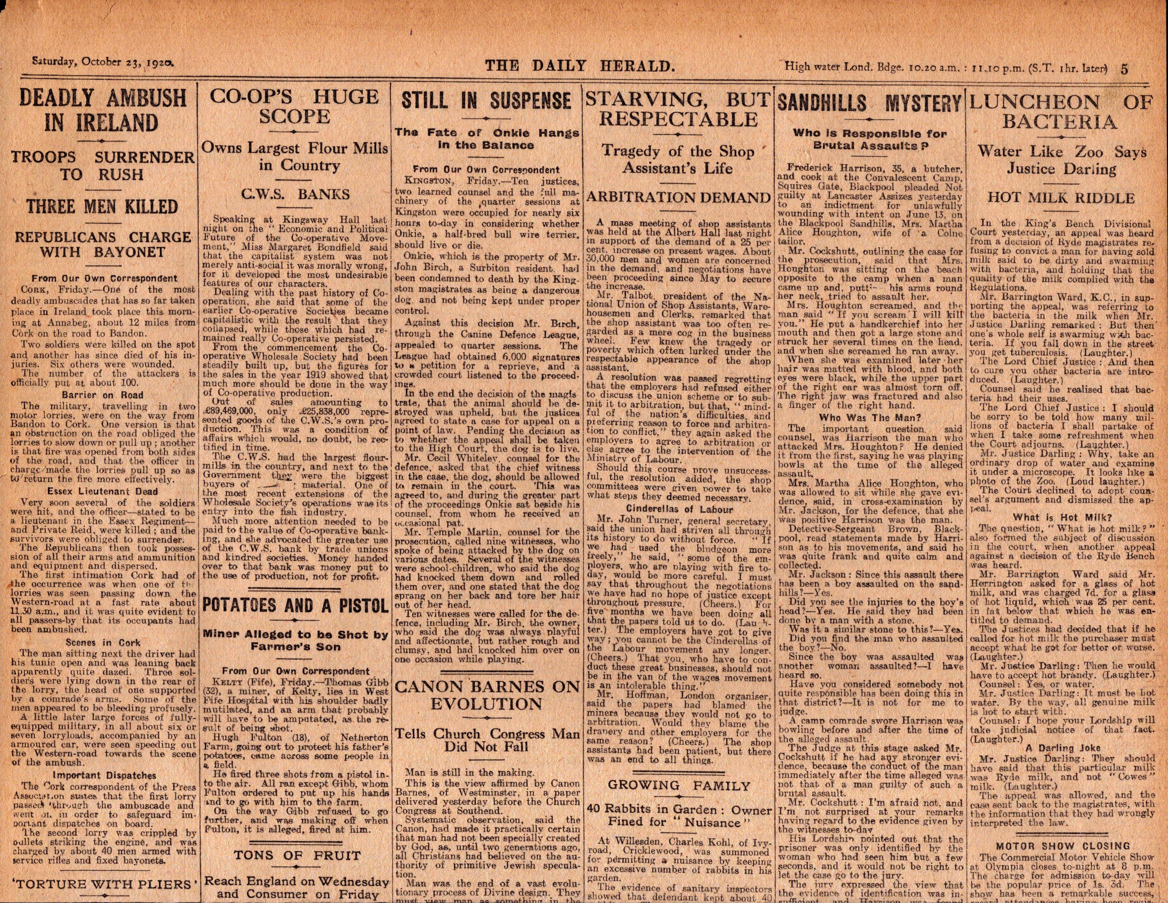 Irish War of Independence News Reports Black & Tans, Hunger Strikes 1920-8.