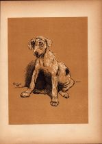 Cecil Aldin Antique Lovable Scamp of a Terrier illustration A Dog Day -16.