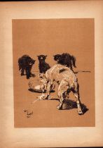 Cecil Aldin Antique Lovable Scamp of a Terrier illustration A Dog Day -25.