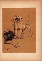 Cecil Aldin Antique Lovable Scamp of a Terrier illustration A Dog Day -7.