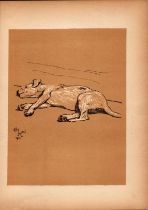 Cecil Aldin Antique Lovable Scamp of a Terrier illustration A Dog Day -22.