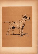 Cecil Aldin Antique Lovable Scamp of a Terrier illustration A Dog Day -23.