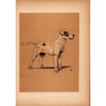 Cecil Aldin Antique Lovable Scamp of a Terrier illustration A Dog Day -23.
