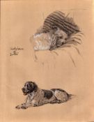 Cecil Aldin 1934 Vintage Dog Illustrations Setter And Sealyham-22.