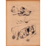 Cecil Aldin Original Vintage 88 Years Old Illustration How to Draw Dogs-4.