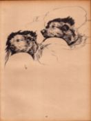 Cecil Aldin Original Vintage 88 Years Old Illustration How to Draw Dogs-7.