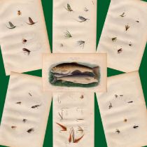 Collection 16 Fishing-Flies 1883 Victorian Antique Book Plates.