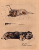 Cecil Aldin 1936 Vintage Dog Illustrations Chow & Dandie Puppy-1